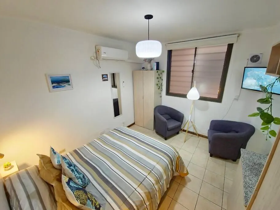 Fresh Studio Apartment Near Colon Street In Downtown Mendoza 0*,