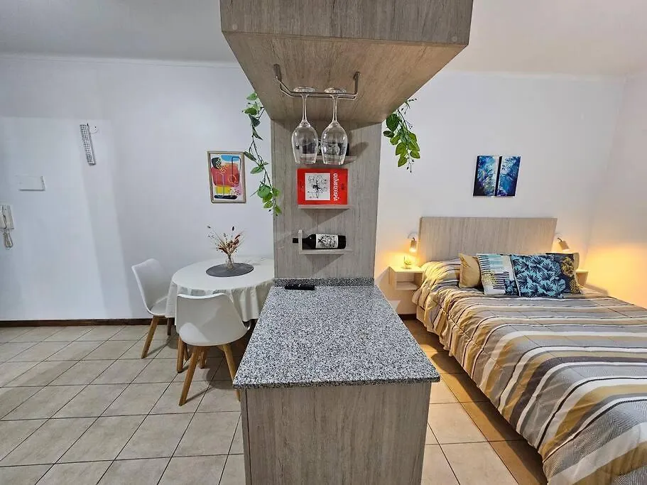Fresh Studio Apartment Near Colon Street In Downtown Mendoza Argentyna